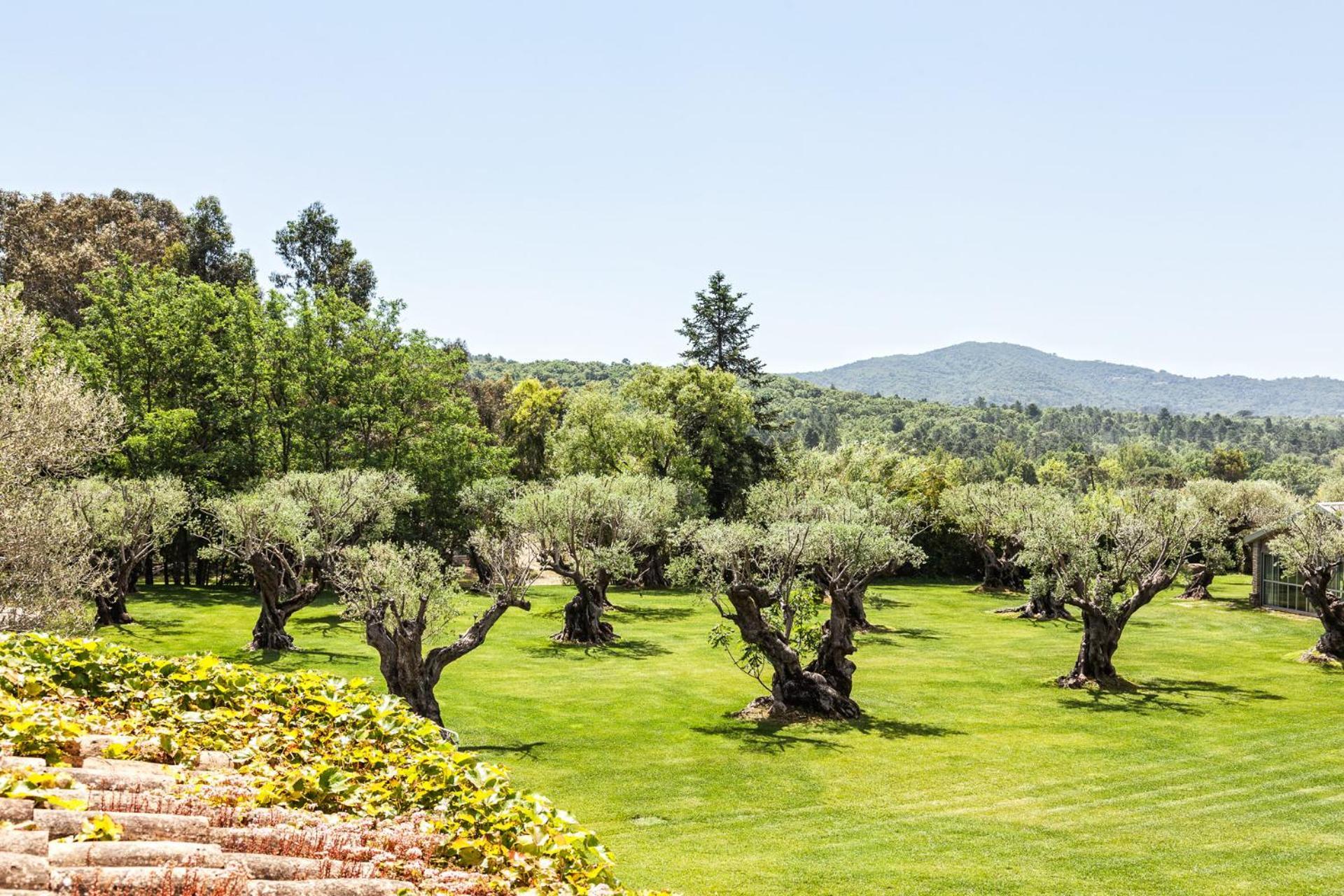 Domaine Les Mesanges Hotel Gassin Exterior foto