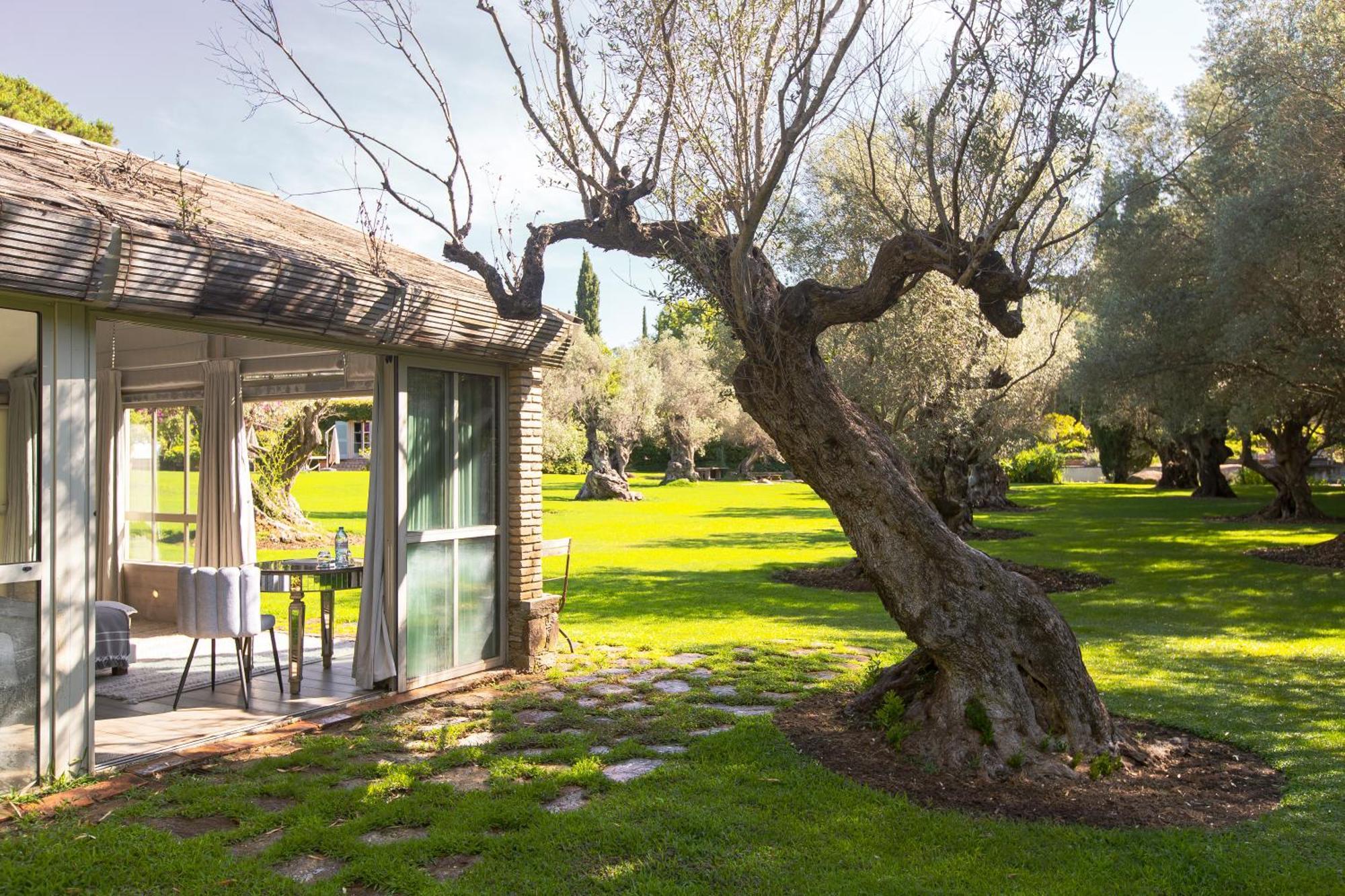 Domaine Les Mesanges Hotel Gassin Exterior foto